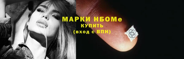 индика Верхний Тагил